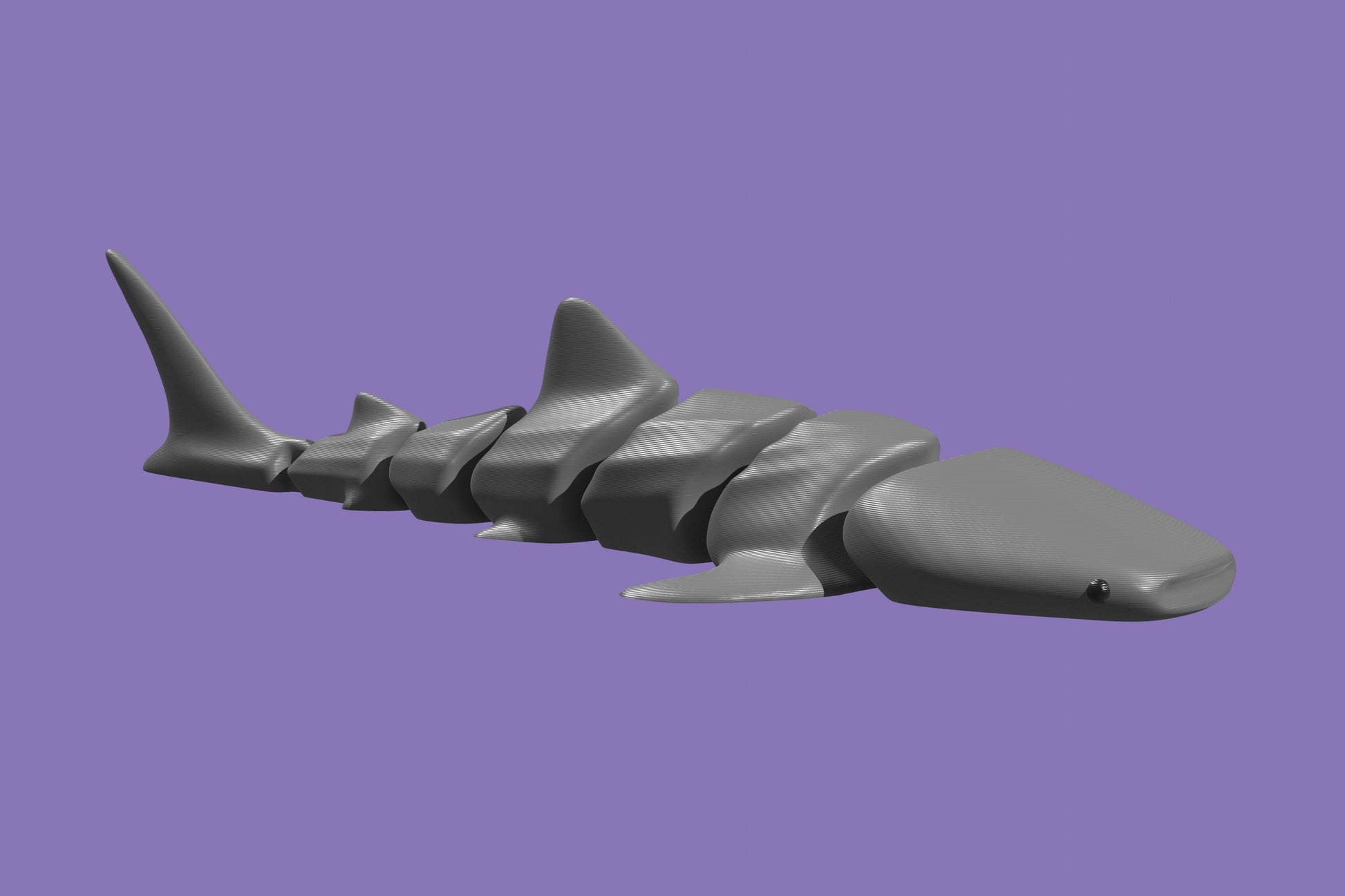 Articulated Whale Shark 3D printed Toy! (185mm)