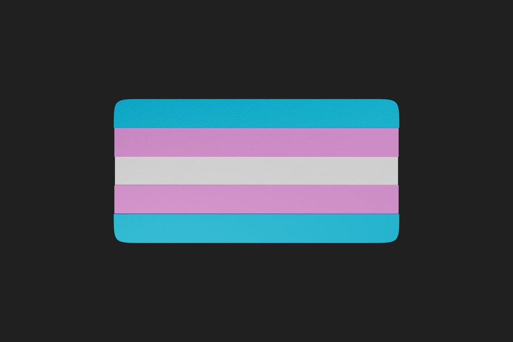 3D Printed Trans Flag Keychain – Transgender Pride Keyring in PLA+