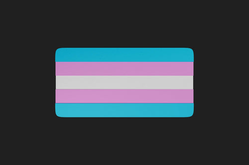3D Printed Trans Flag Keychain – Transgender Pride Keyring in PLA+